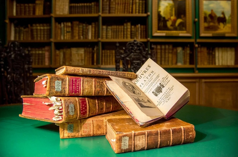 Читать книги на booksdaily.club