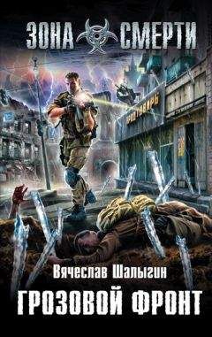 Вячеслав Шалыгин - Грозовой фронт