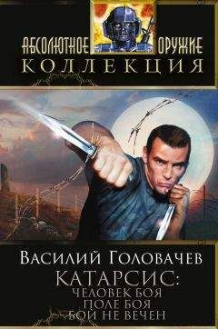Василий Головачев - Человек боя. Поле боя. Бой не вечен
