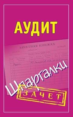 Николай Самсонов - Аудит. Шпаргалки