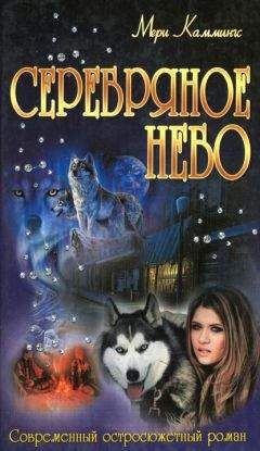 Мери Каммингс - Серебряное небо