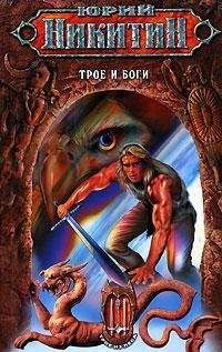 Юрий Никитин - Трое и боги