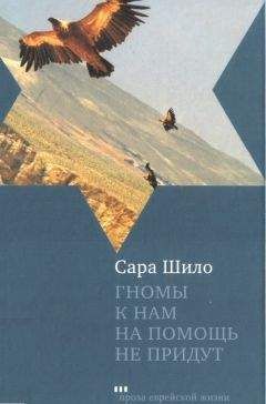 Сара Шило - Гномы к нам на помощь не придут