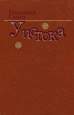 Владимир Санги - Последняя дань обычаю