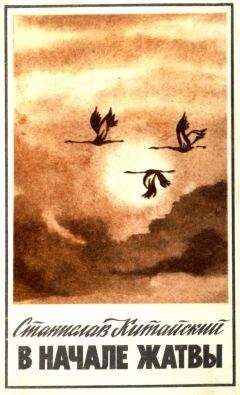 Станислав Китайский - Рассказ "Такая вот картина"