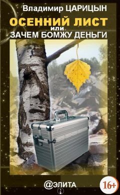 Владимир Царицын - Осенний лист, или Зачем бомжу деньги