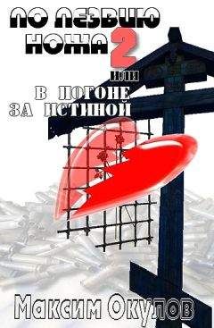 Максим Окулов - По лезвию ножа, или В погоне за истиной. Книга 2