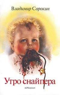 Владимир Сорокин - Утро снайпера (сборник)