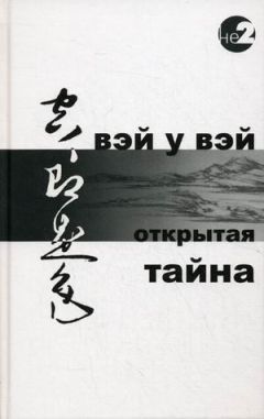 Вэй Вэй - Открытая тайна