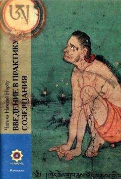 Намкай Ринпоче - Введение в практику созерцания