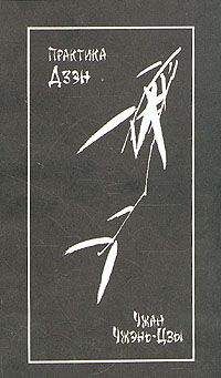 Чжан Чжень-Цзы - Практика дзэн