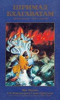 Свами Бхактиведанта А.Ч. - Шримад Бхагаватам. Песнь 3. Статус кво. Часть 1