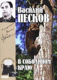 Василий Песков - Полное собрание сочинений. Том 1. В соболином краю