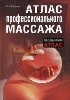 Виталий Епифанов - Атлас профессионального массажа