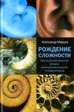 Александр Марков - Рождение сложности. Эволюционная биология сегодня: неожиданные открытия и новые вопросы