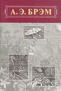 Альфред Брэм - Жизнь животных, Том III, Пресмыкающиеся. Земноводные. Рыбы