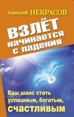 Анатолий Некрасов - Взлет начинается с падения. Ваш шанс стать успешным, богатым, счастливым