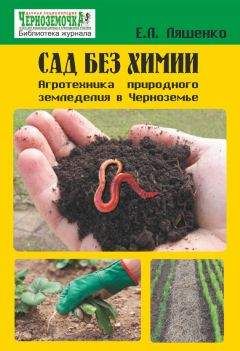 Е. Ляшенко - Сад без химии. Агротехника природного земледелия в Черноземье