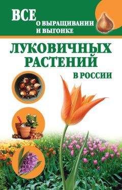 Татьяна Литвинова - Все о выращивании и выгонке луковичных растений в России