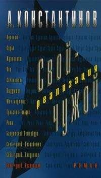 Андрей Константинов - Реализация