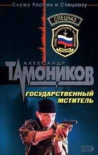 Александр Тамоников - Государственный мститель