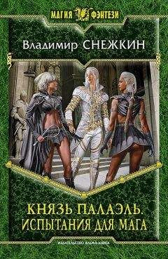 Владимир Снежкин - Князь Палаэль. Испытания для мага