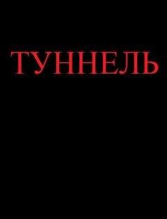 Ярослав Михов - Туннель (СИ)