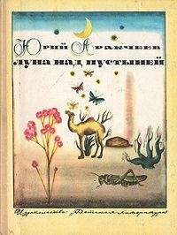 Юрий Аракчеев - Луна над пустыней