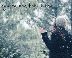 Чудеса под Новый Год (СИ) - Мур Мария Джейн