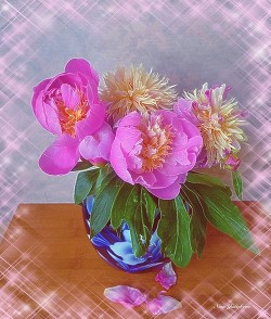 Афоризмы - Юдичева Нина