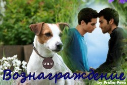 Вознаграждение (СИ) - "Proba Pera"