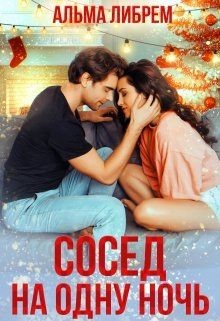 Сосед на одну ночь (СИ) - Либрем Альма