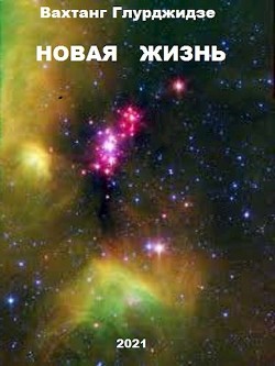 Новая жизнь (СИ) - Глурджидзе Вахтанг "Вахо Глу"
