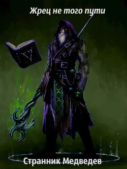Жрец не того пути (СИ) - Медведев Данил "Странник"