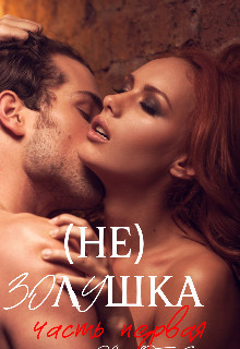 (не) Золушка (СИ) - Богушева Екатерина