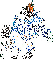 Замуж за короля? Ни за что! (СИ) - Соломахина Анна "Fjolia"