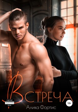 Встреча (СИ) - Фортис Алика