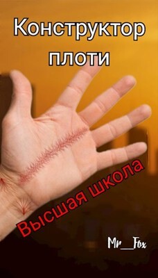 Высшая школа (СИ) - "Mr_Fox"