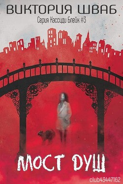 Мост душ (ЛП) - Шваб Виктория