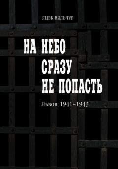Яцек Вильчур - На небо сразу не попасть