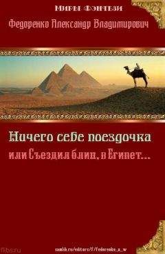 Александр Федоренко - Ничего себе Поездочка или Съездил блин в Египет (СИ)