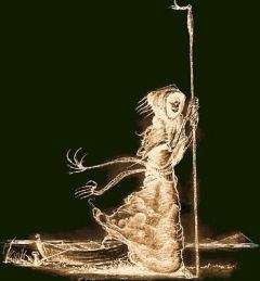 Джеймс Гарднер - Пламя и Пыль