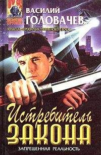 Василий Головачев - Истребитель закона